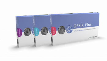 Мембрана OSSIX Plus /Оссикс Плюс, 15Х25 мм