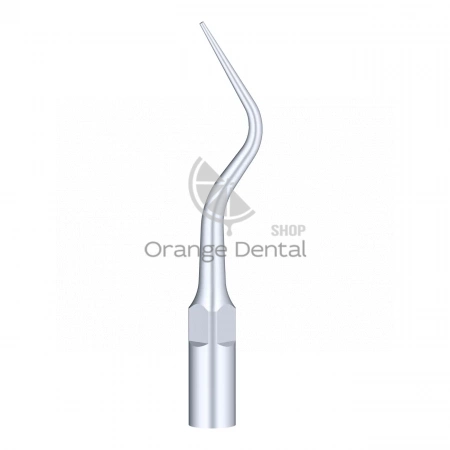 Насадка к скалеру, P11