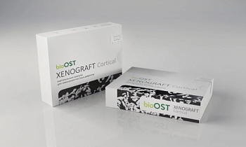 Ксенографт/ biOST XENOGRAFT Cortical гранулы кортикальные с коллагеном 0,5 гр (говядина)