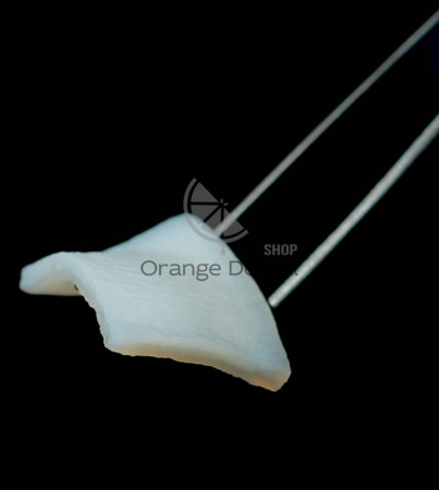 FibroMATRIX /ФиброМАТРИКС мембрана 3D-матрикс коллагеновый 15х20